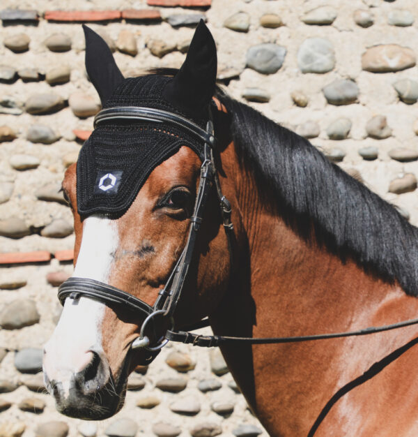 FLIEGENHAUBE