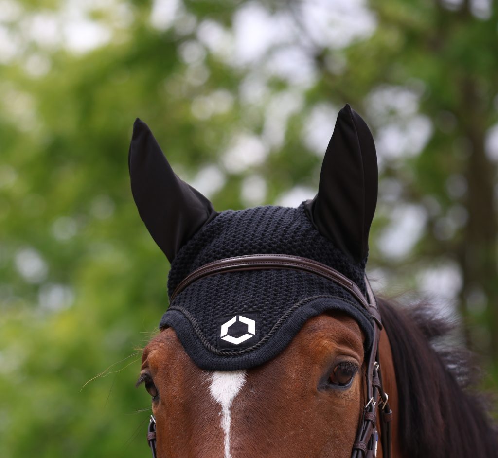 accessoire bonnet cheval