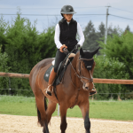 choisir-son-casque-d-equitation