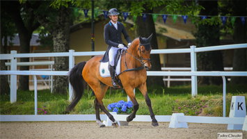 Nettoyage casque arment