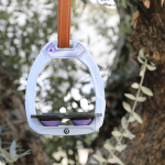 Nettoyage-etriers-flex-on