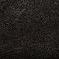 Cuir
